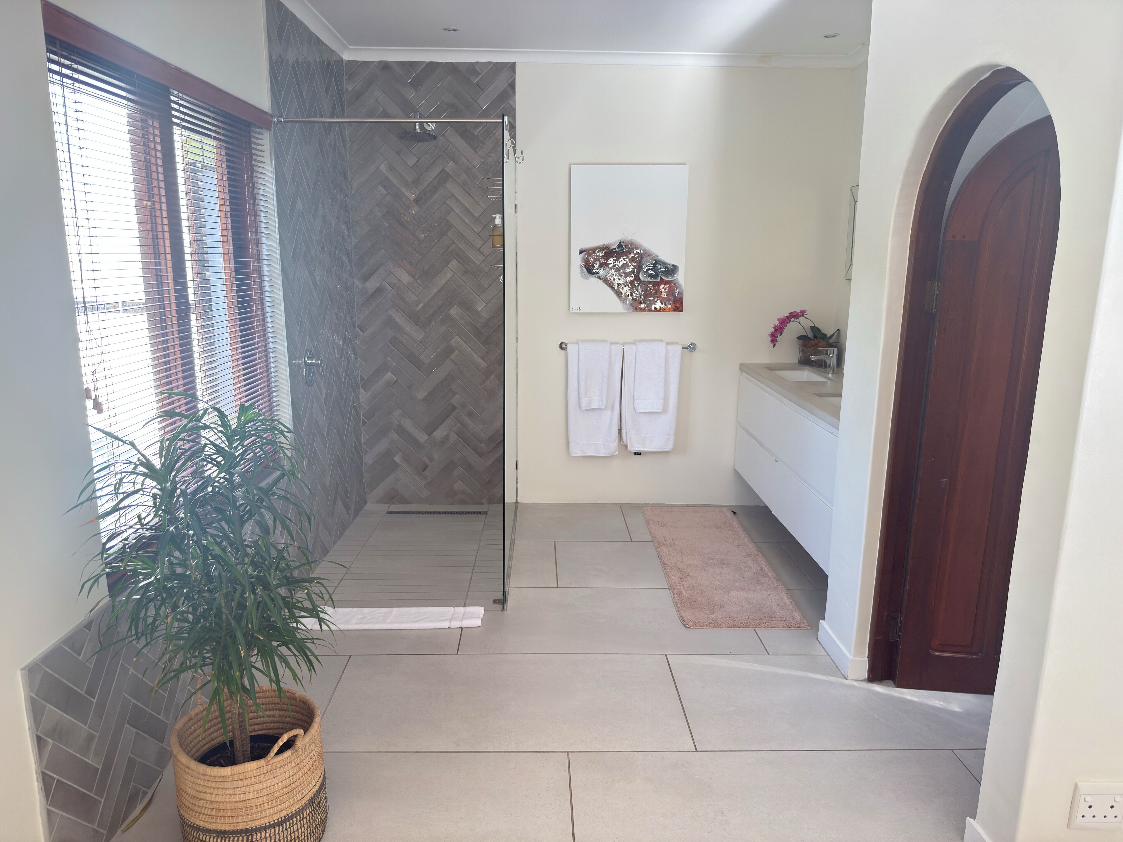 A bathroom with a shower, a sink, and a mirror. There is a potted plant and a wooden door.