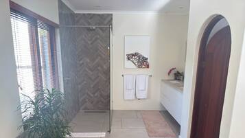 A bathroom with a shower, a sink, and a mirror. There is a potted plant and a wooden door.