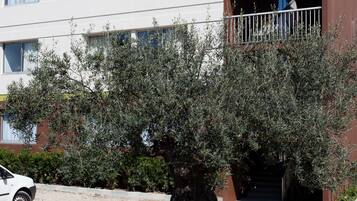 Fassade der Unterkunft