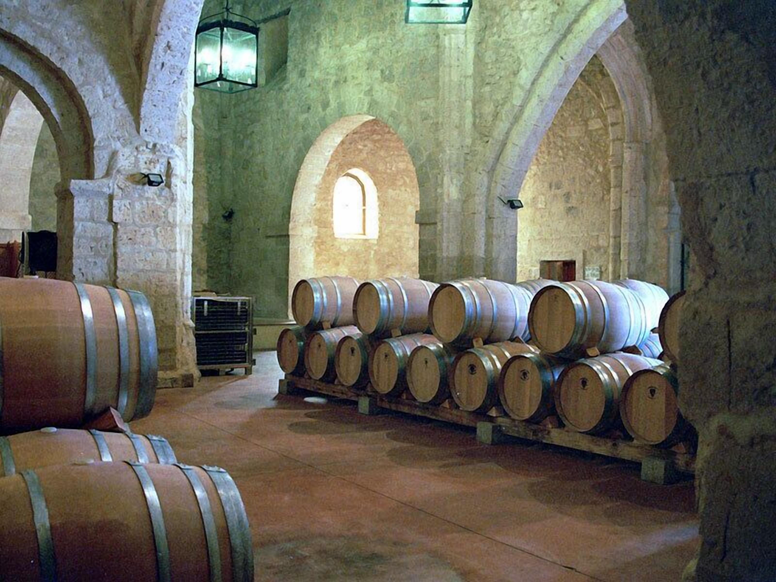 Foto - Residencia Real del Castillo de Curiel