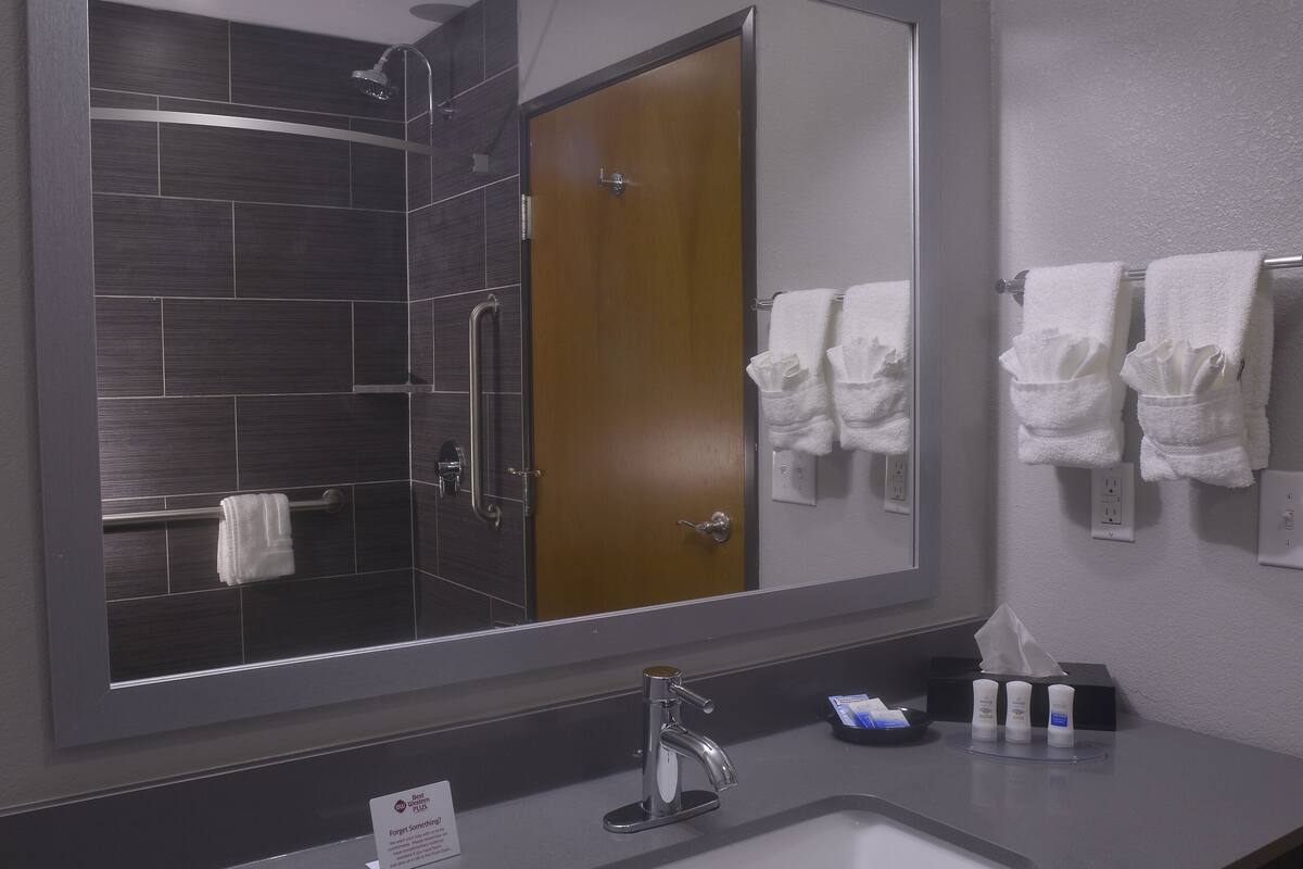 standard room, 1 king bed, accessible, kitchenette | bathroom | free toiletries, hair dryer, towels, soap