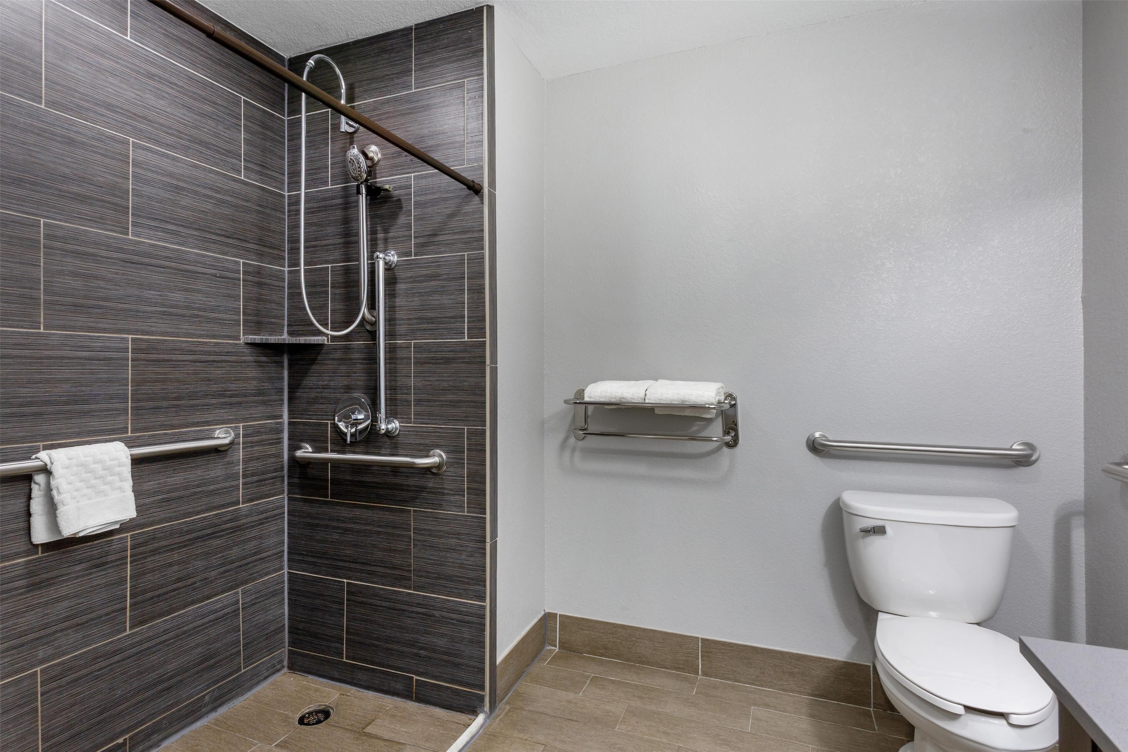 standard room, 1 king bed, accessible, non smoking (walk-in shower) | bathroom | free toiletries, hair dryer, towels, soap