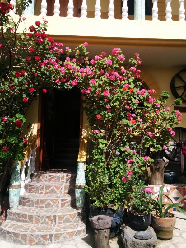 Una escalera que lleva a la entrada de un edificio, rodeada de macetas con plantas y flores.