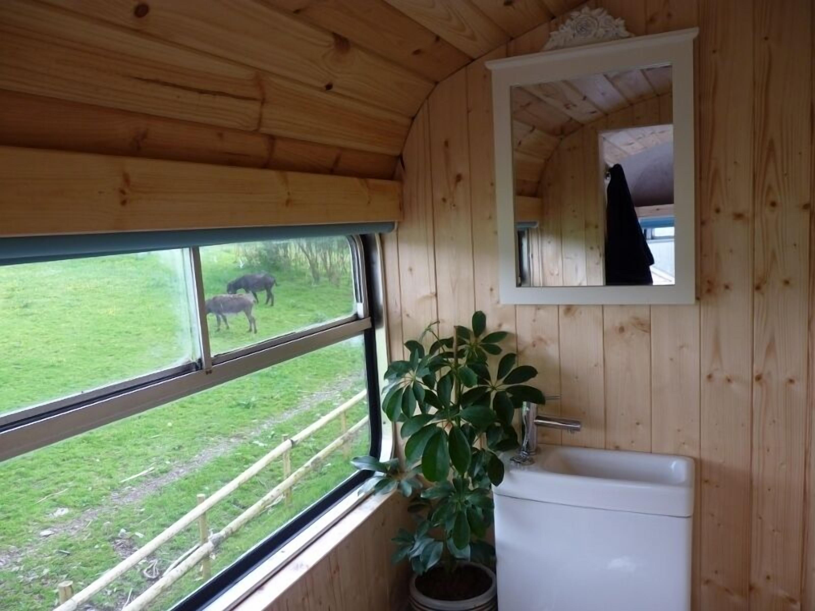 A wooden cabin interior with a window, a sink, and a mirror.