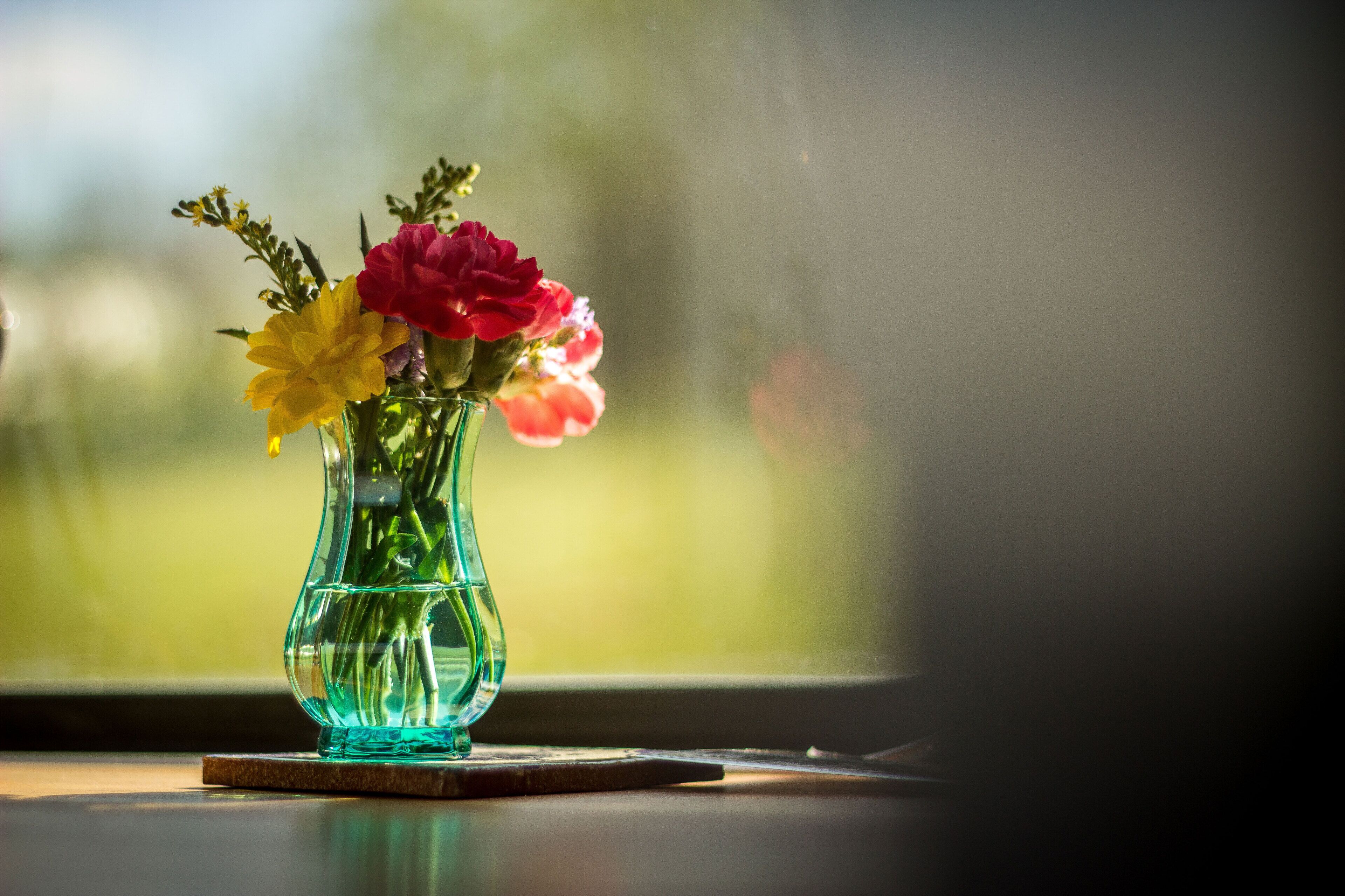 A clear glass vase with flowers on a coaster by a window.