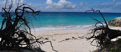 White sand, snorkeling, windsurfing, surfing