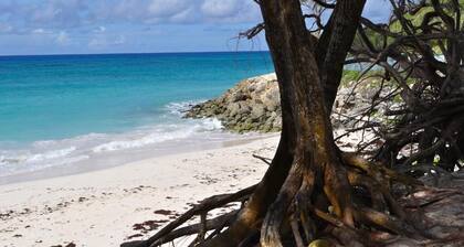 Green Garden Apartment