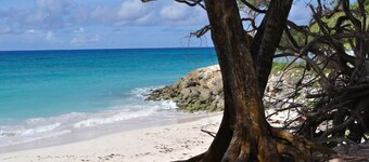 Green Garden Apartment