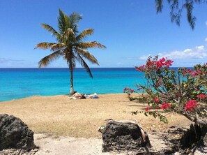 White sand, snorkelling, windsurfing, surfing