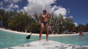 Eine Person steht auf einem Stand-Up-Paddleboard in ruhigem, blauem Wasser, im Hintergrund ein Strand und Bäume.
