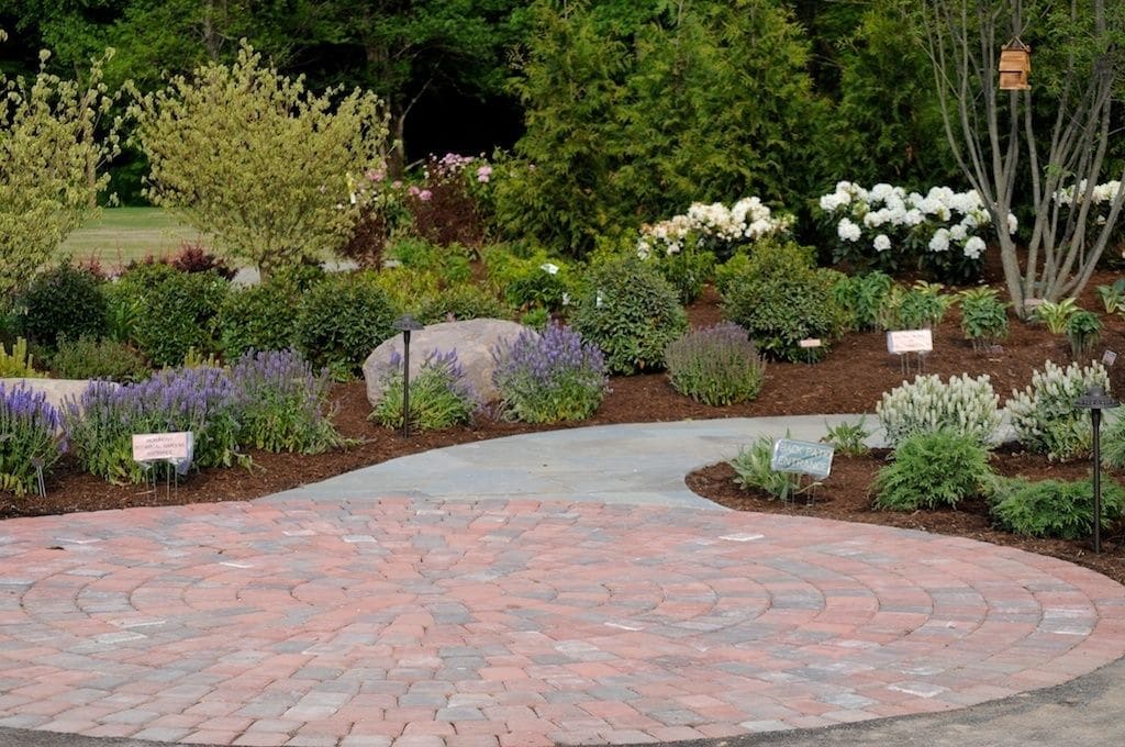 Un jardin aménagé avec des allées pavées, divers arbustes et plantes à fleurs.
