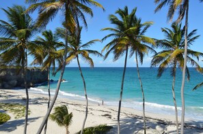 A beach with palm trees and a clear view of the ocean. - Tropical Gecko Studio (Silver Sands)