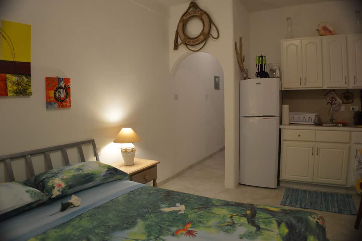 studio, 1 queen bed, garden view | premium bedding, in-room safe, individually decorated