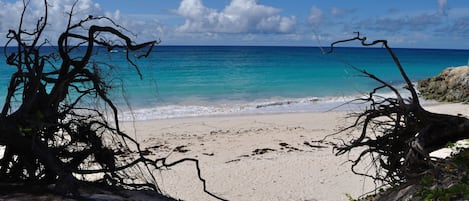 En la playa, playa de arena blanca, snorkel y windsurf 