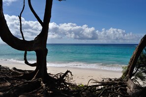 Ubicación a pie de playa, arena blanca, buceo con tubo y windsurf