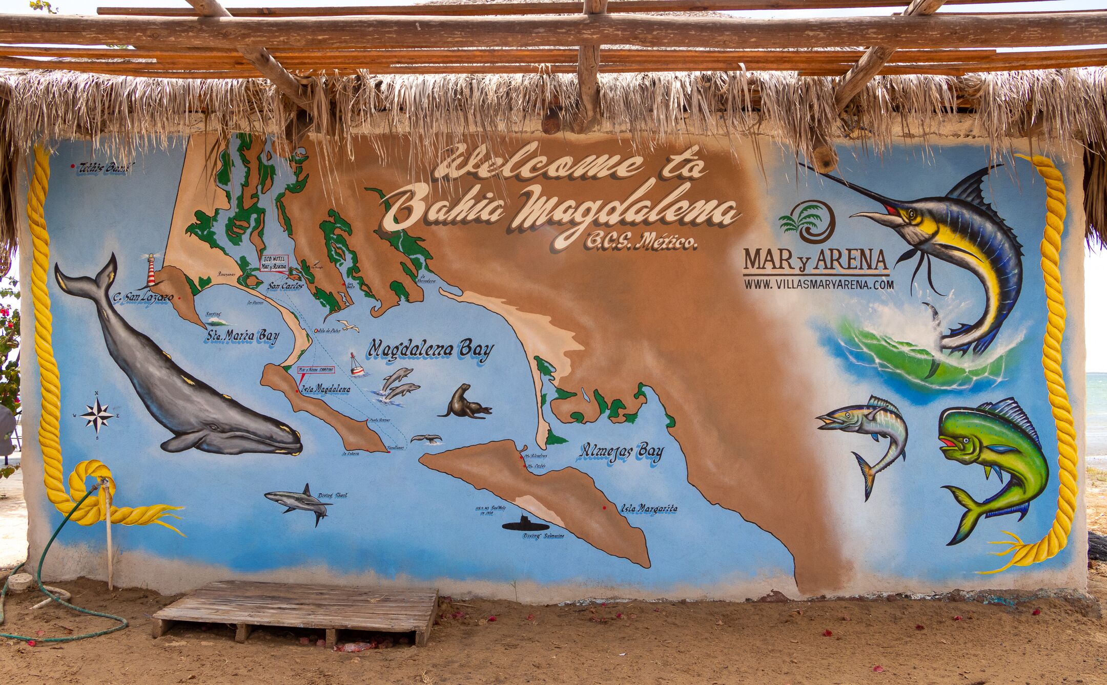 on the beach, beach umbrellas, kayaking