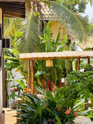Um jardim tropical com uma pérgola de madeira, vegetação exuberante e uma palmeira.