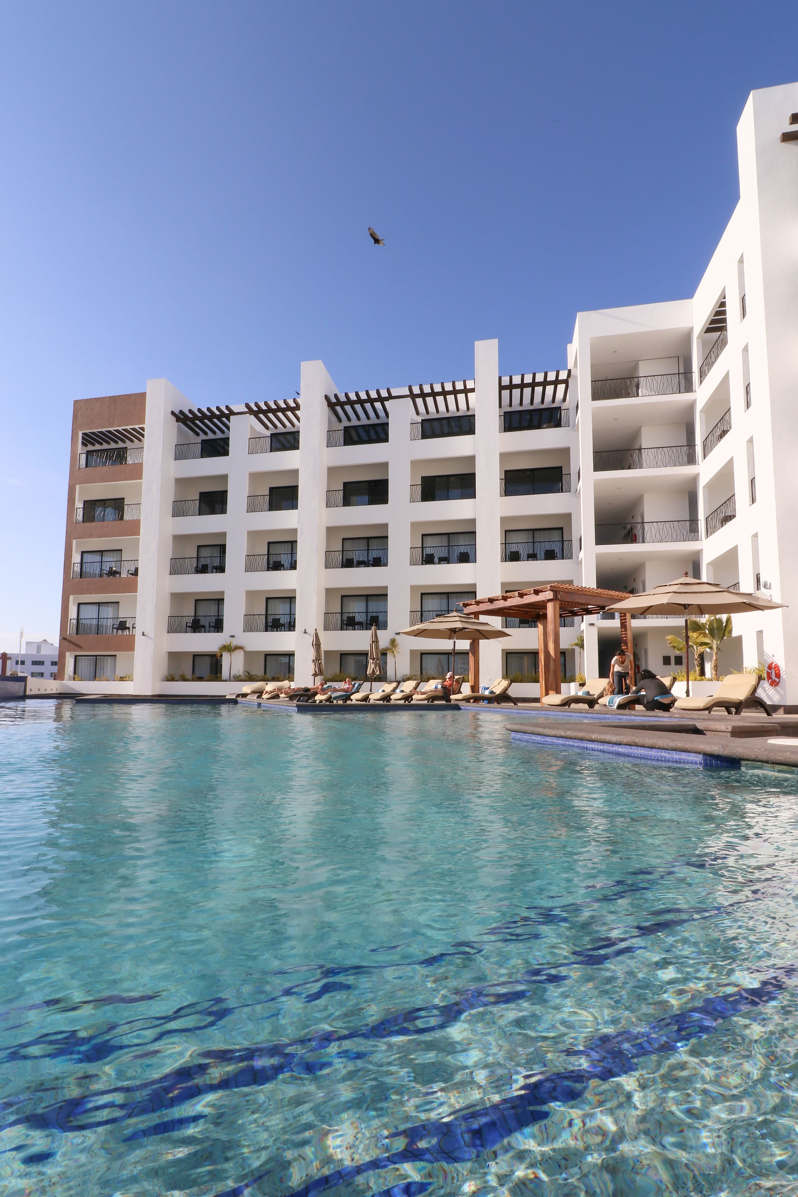 Outdoor pool, pool umbrellas, pool loungers