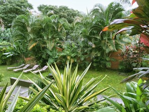 Garden - Hotel Dream House Escazu (San Rafael)