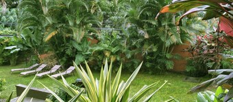 Hotel Dream House Escazu