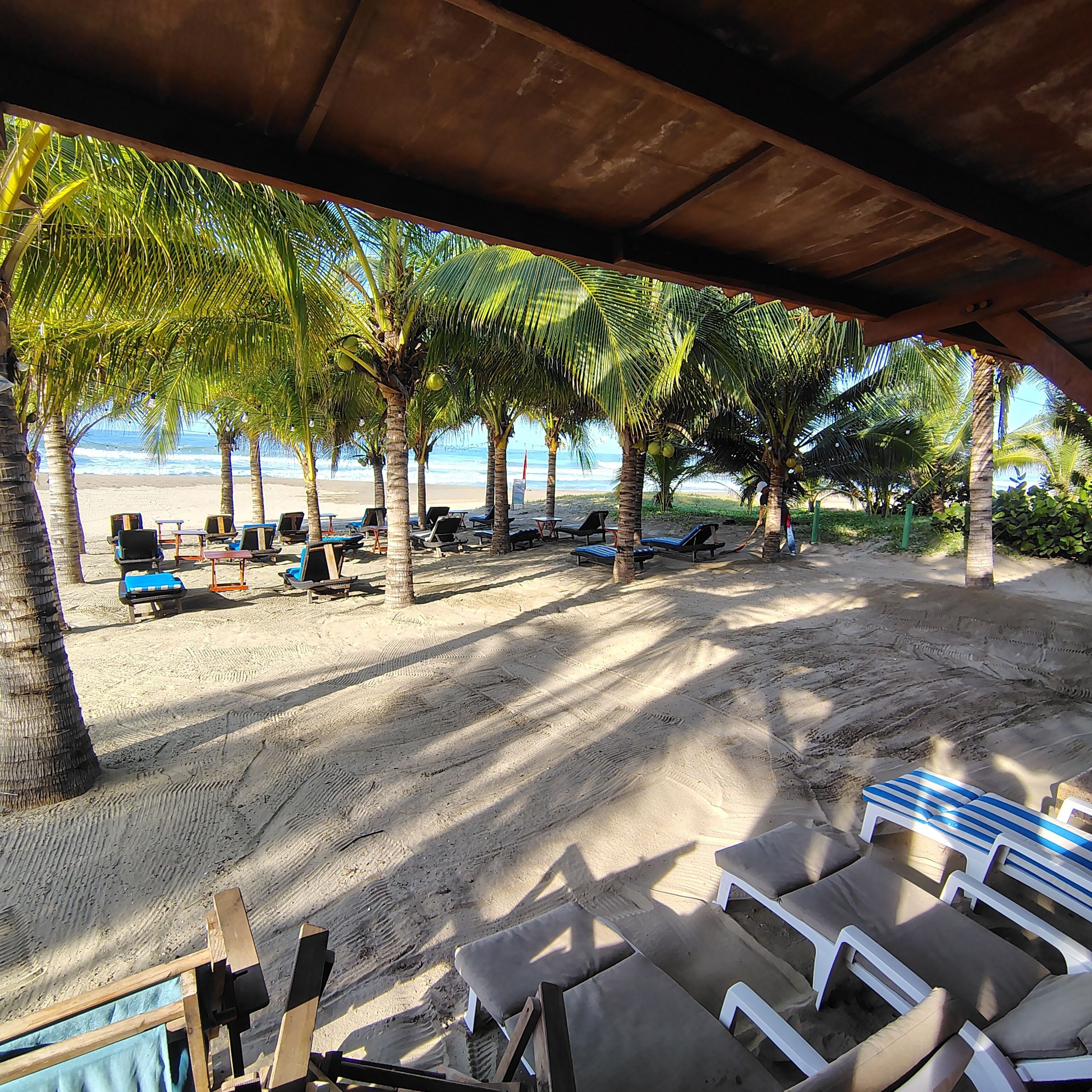 A beach with lounge chairs and palm trees.