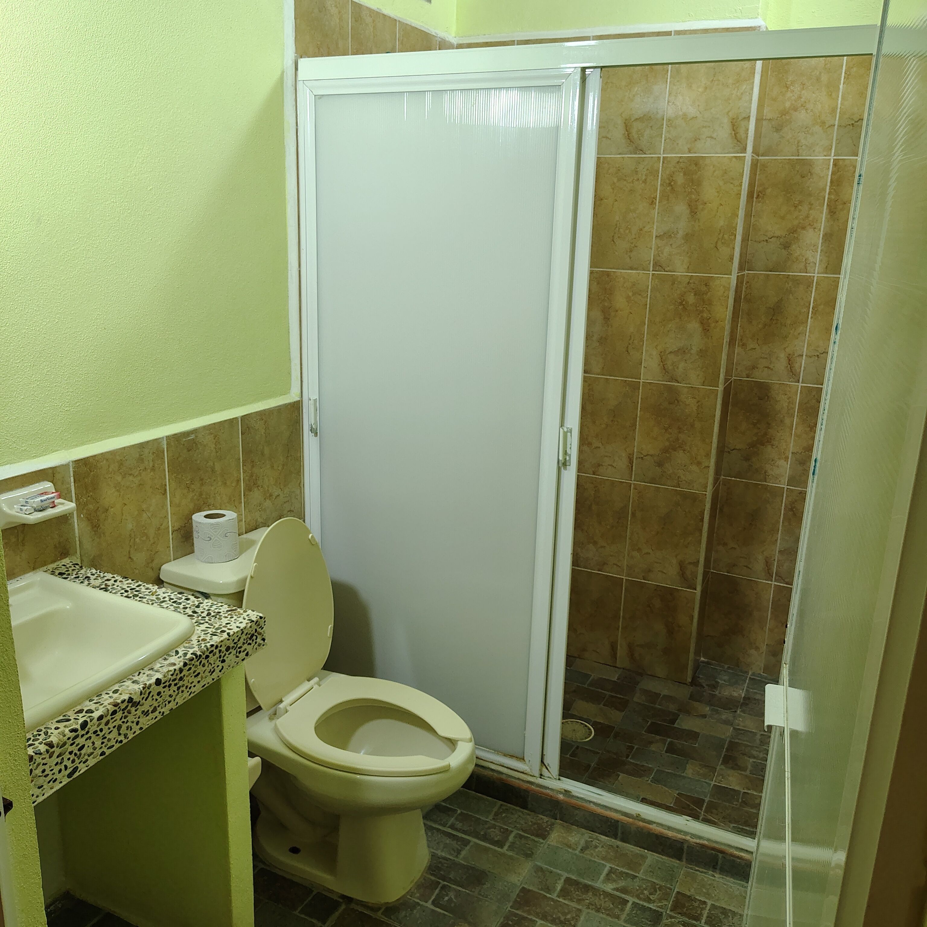 A bathroom with a toilet, a shower enclosure, and a sink.