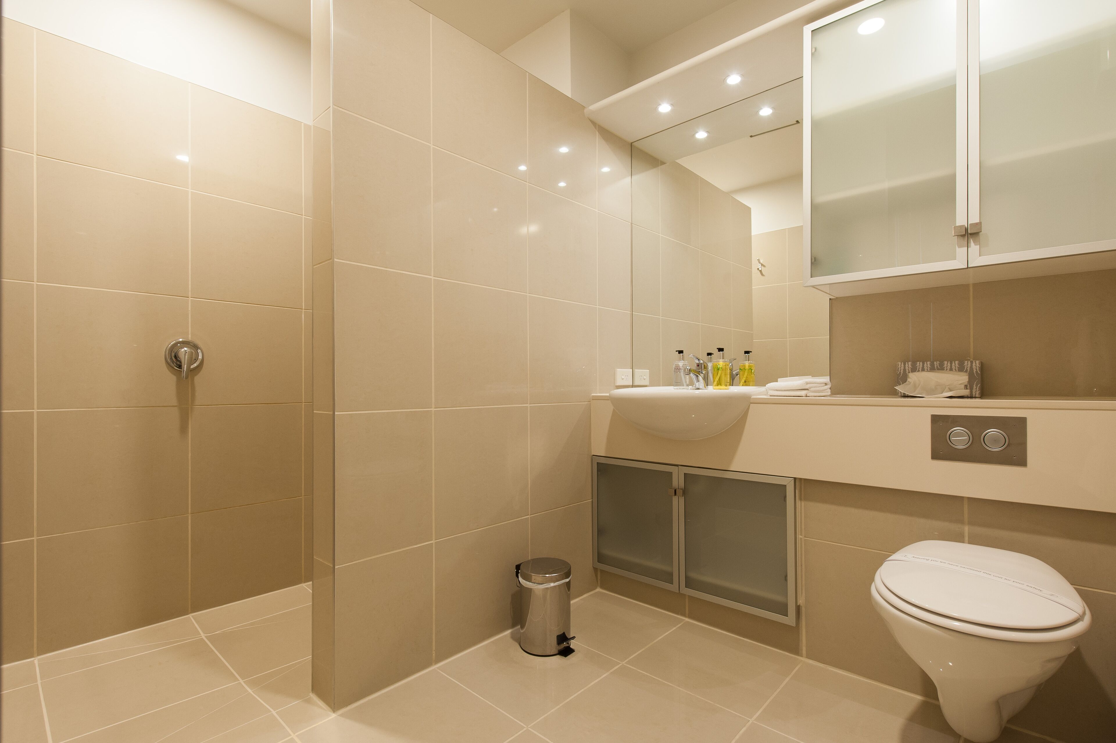 A modern bathroom with a walk-in shower, a toilet, and a sink.