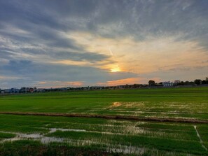 Paisaje rural con campos verdes extensos y una puesta de sol al fondo.