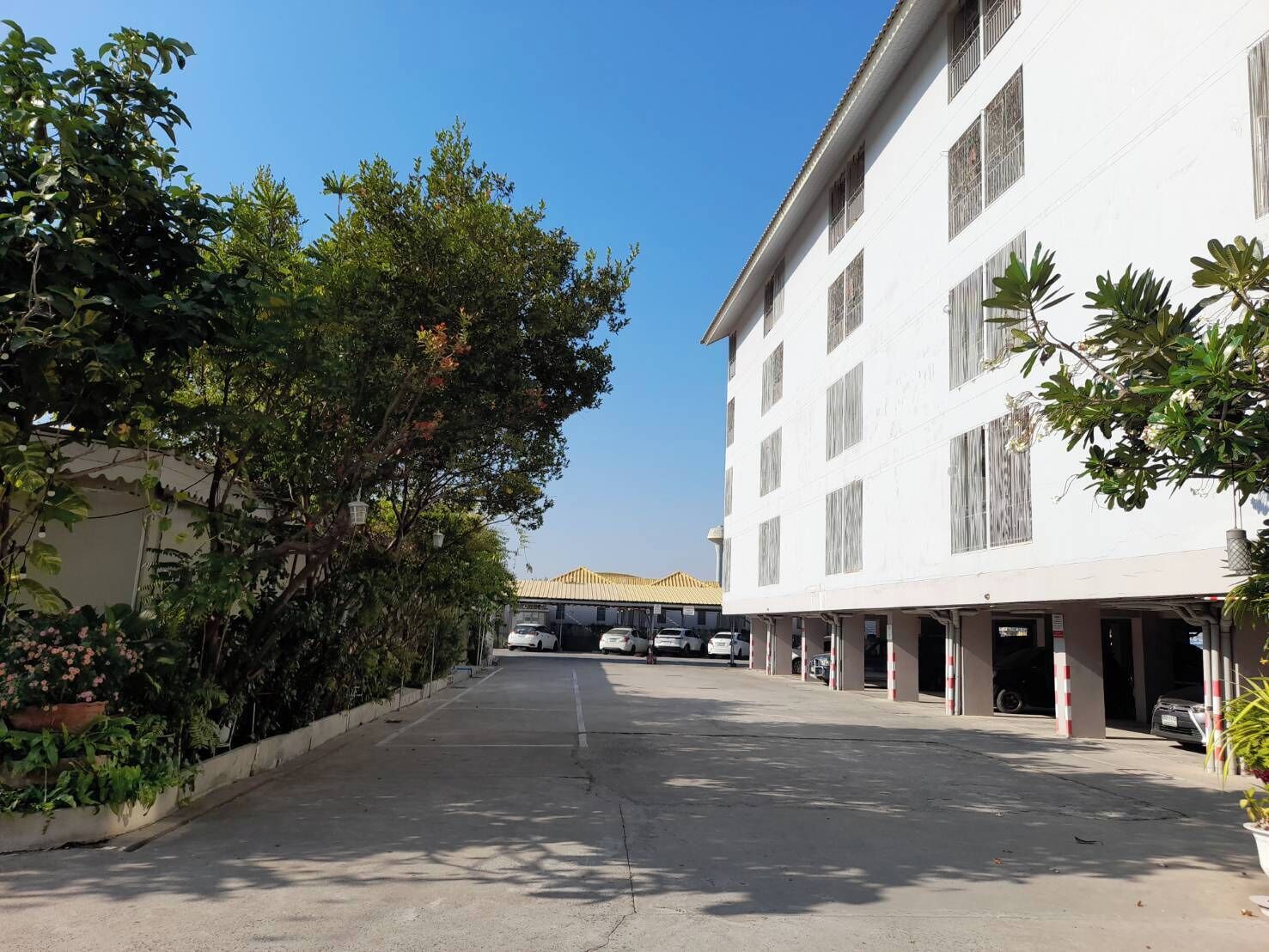 A parking area with a white building on the right, a row of parked cars, and trees on the left.