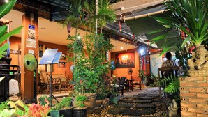 An indoor garden with potted plants, a stone pathway, and a dining area with wicker furniture. - All In 1 Guesthouse Chiang Mai (Chiang Mai)