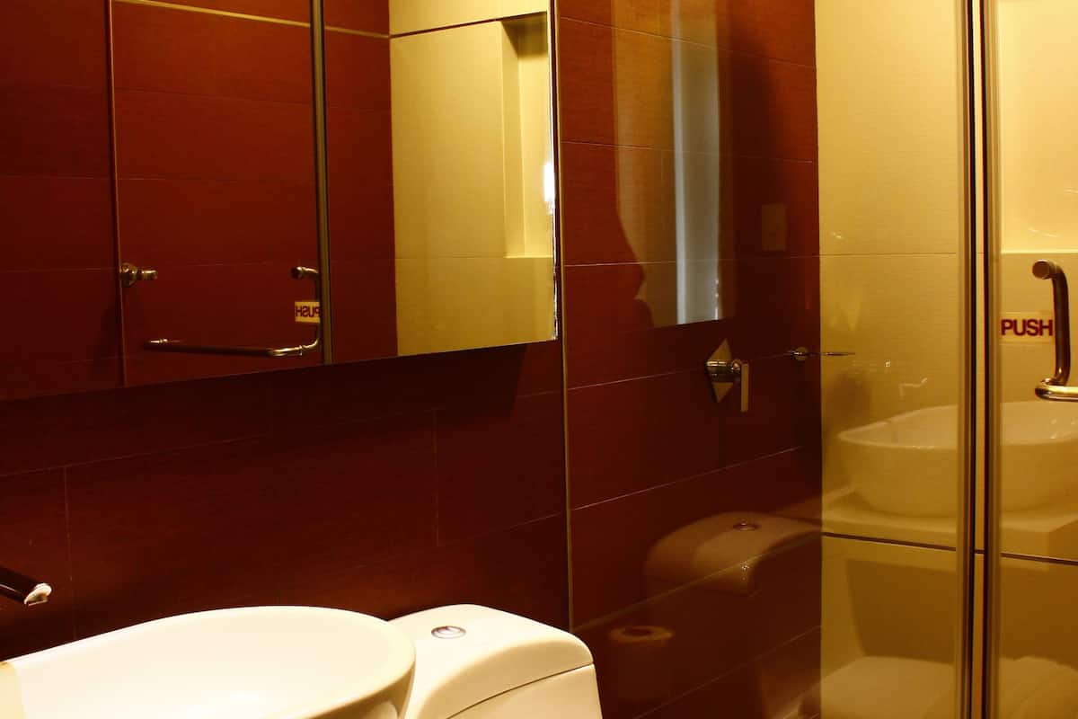 shower, free toiletries, slippers, bidet