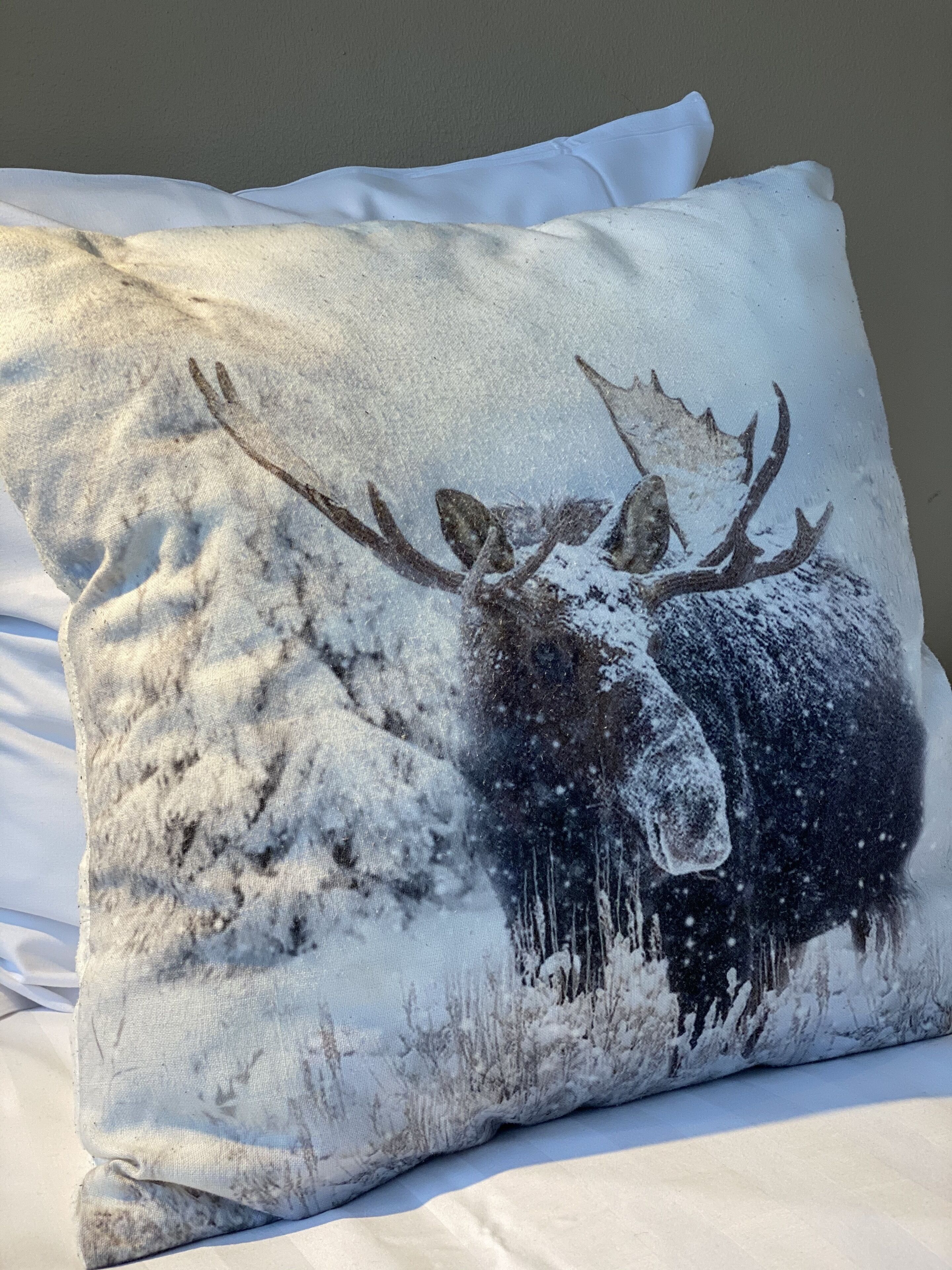 Photo - Economy Apartments Peura