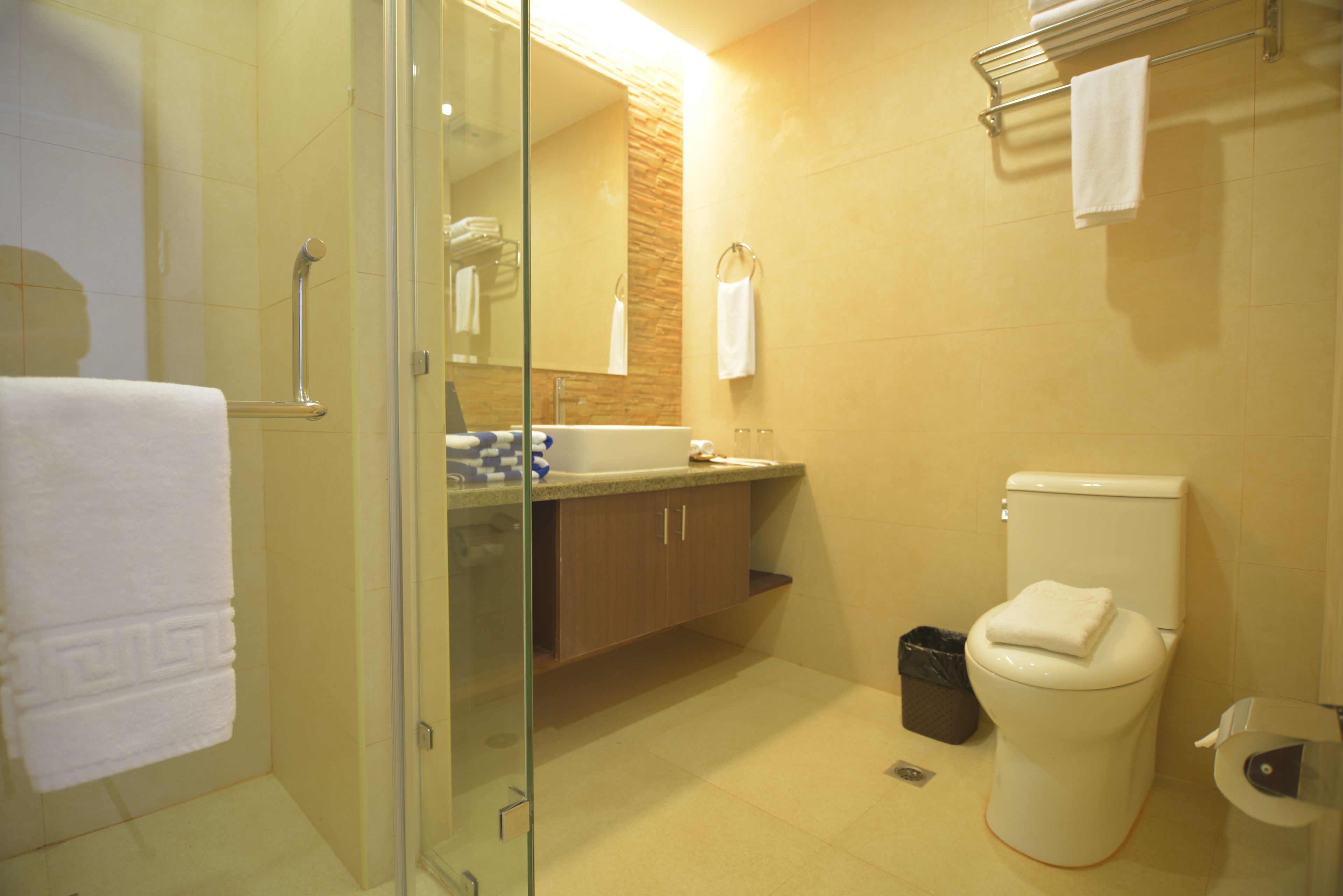 A bathroom with a glass shower enclosure, a sink with a mirror above it, a toilet, and a trash bin.