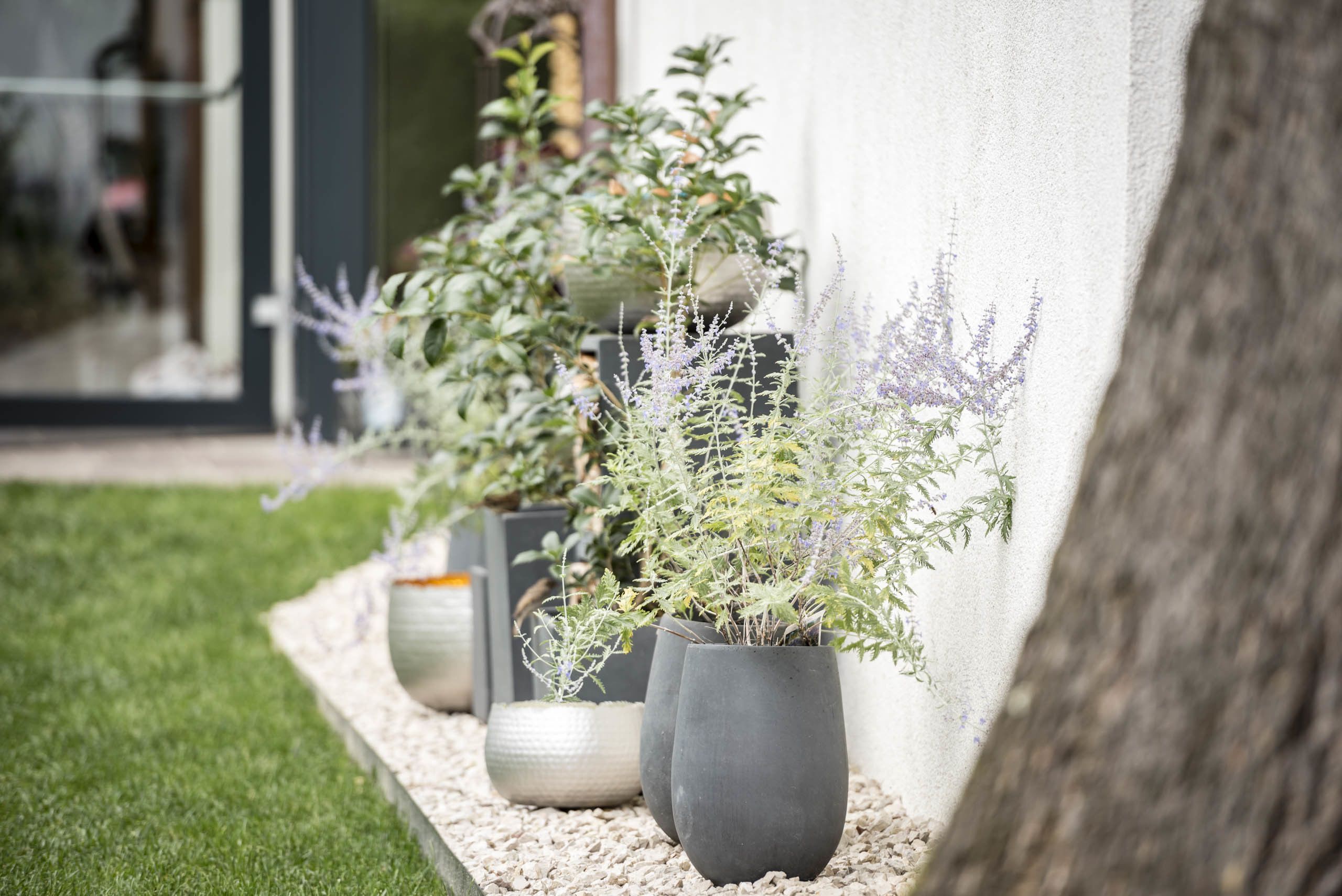 Foto - Villa Helvetia