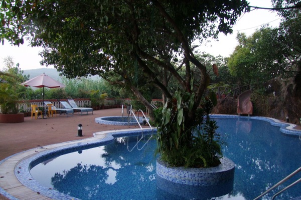 Outdoor pool, open 8:00 AM to 6:00 PM, pool loungers