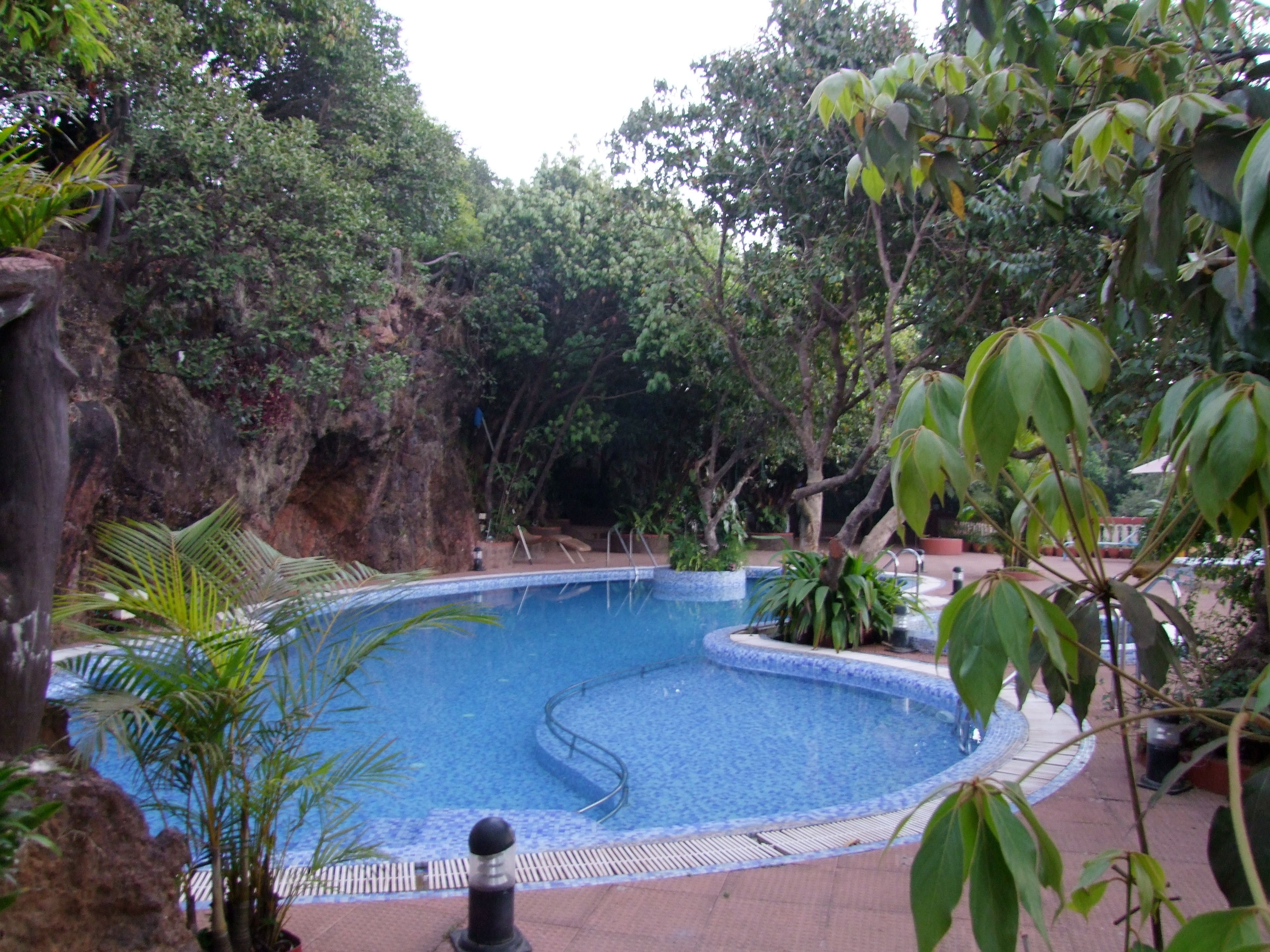 A circular pool with a stone border, surrounded by lush greenery and a rocky cliff.