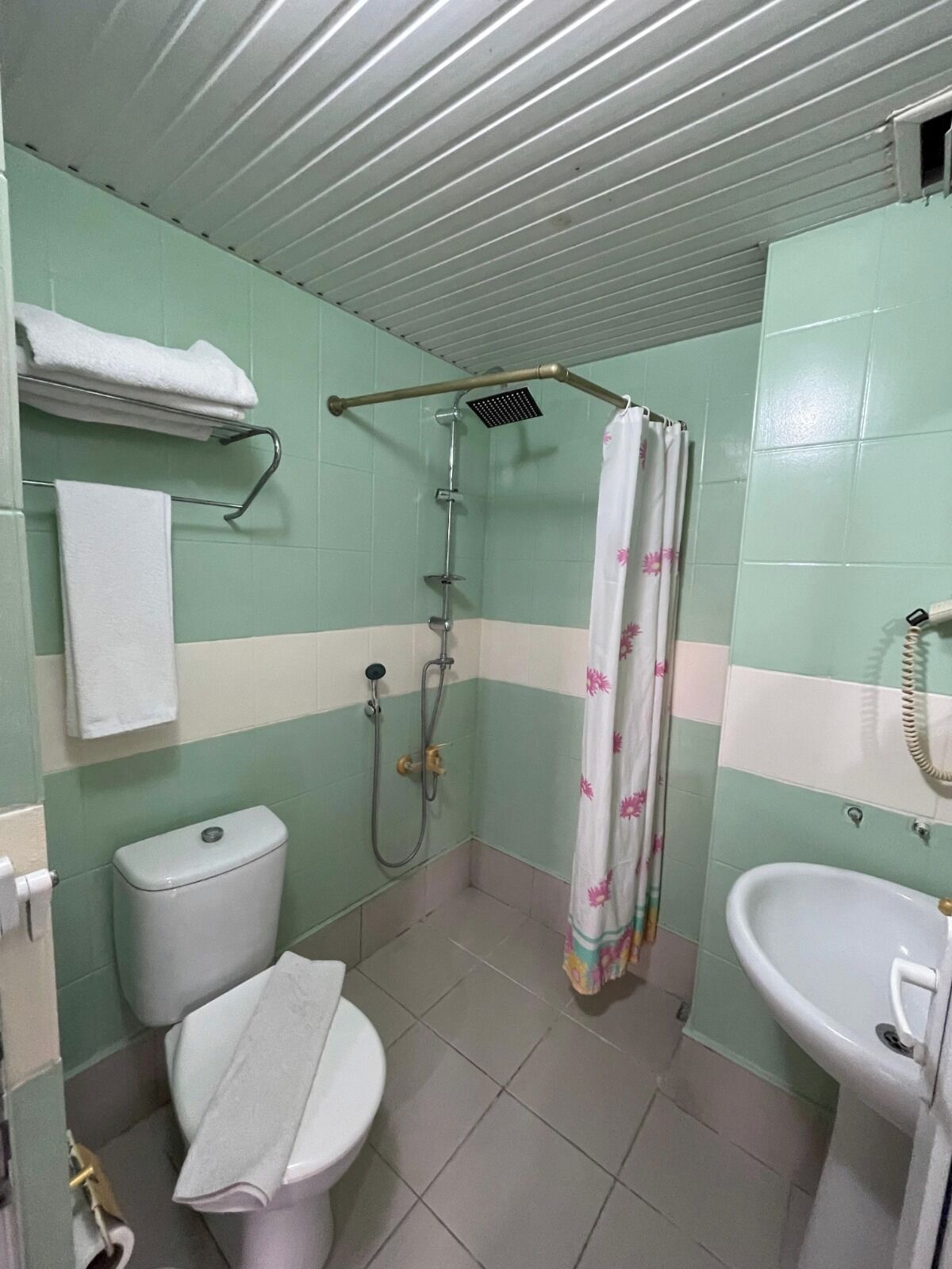 A bathroom with a toilet, shower, and sink.