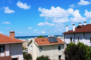 Penthouse | View from room