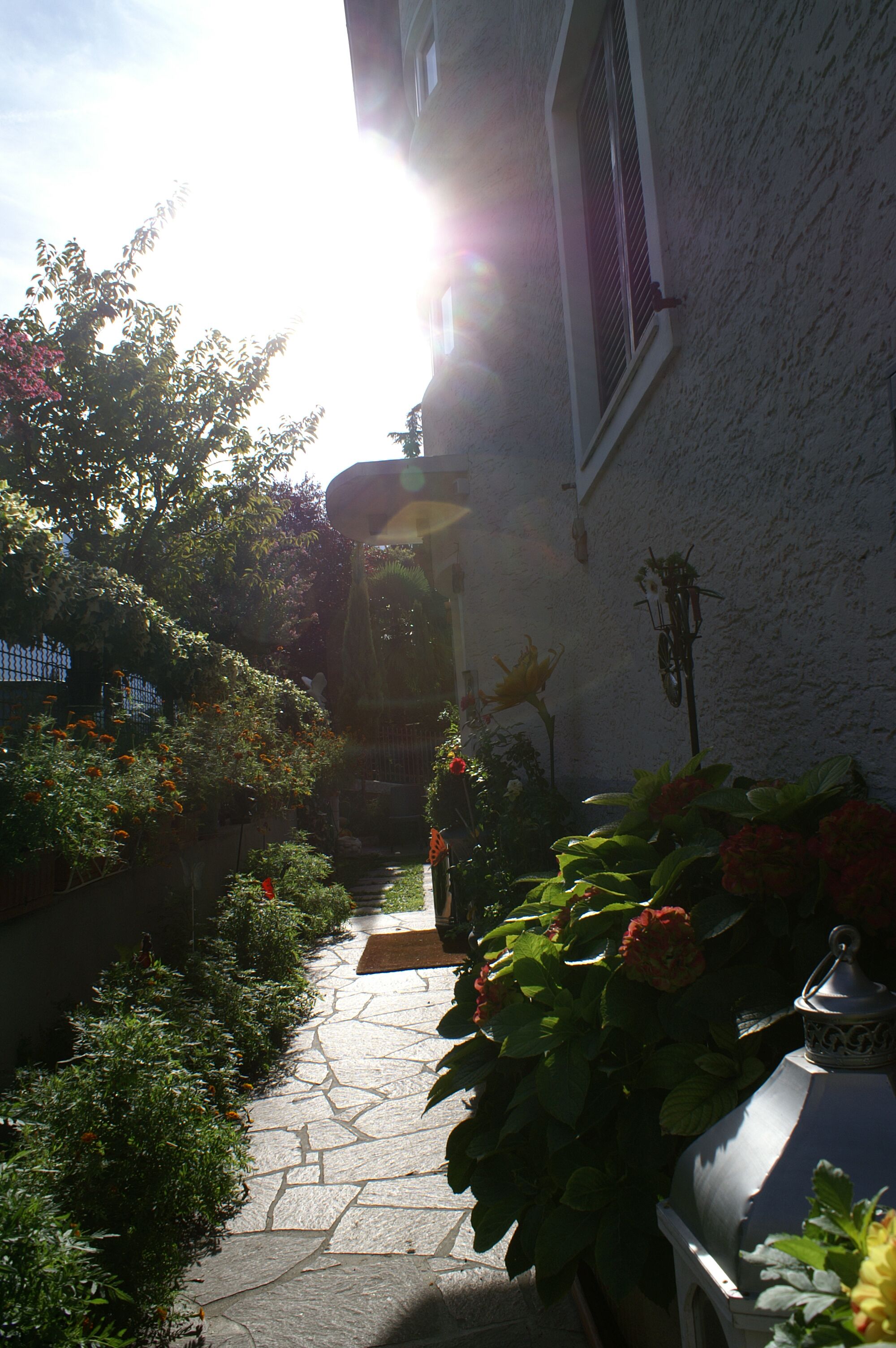 Photo - Garni Villa Betty