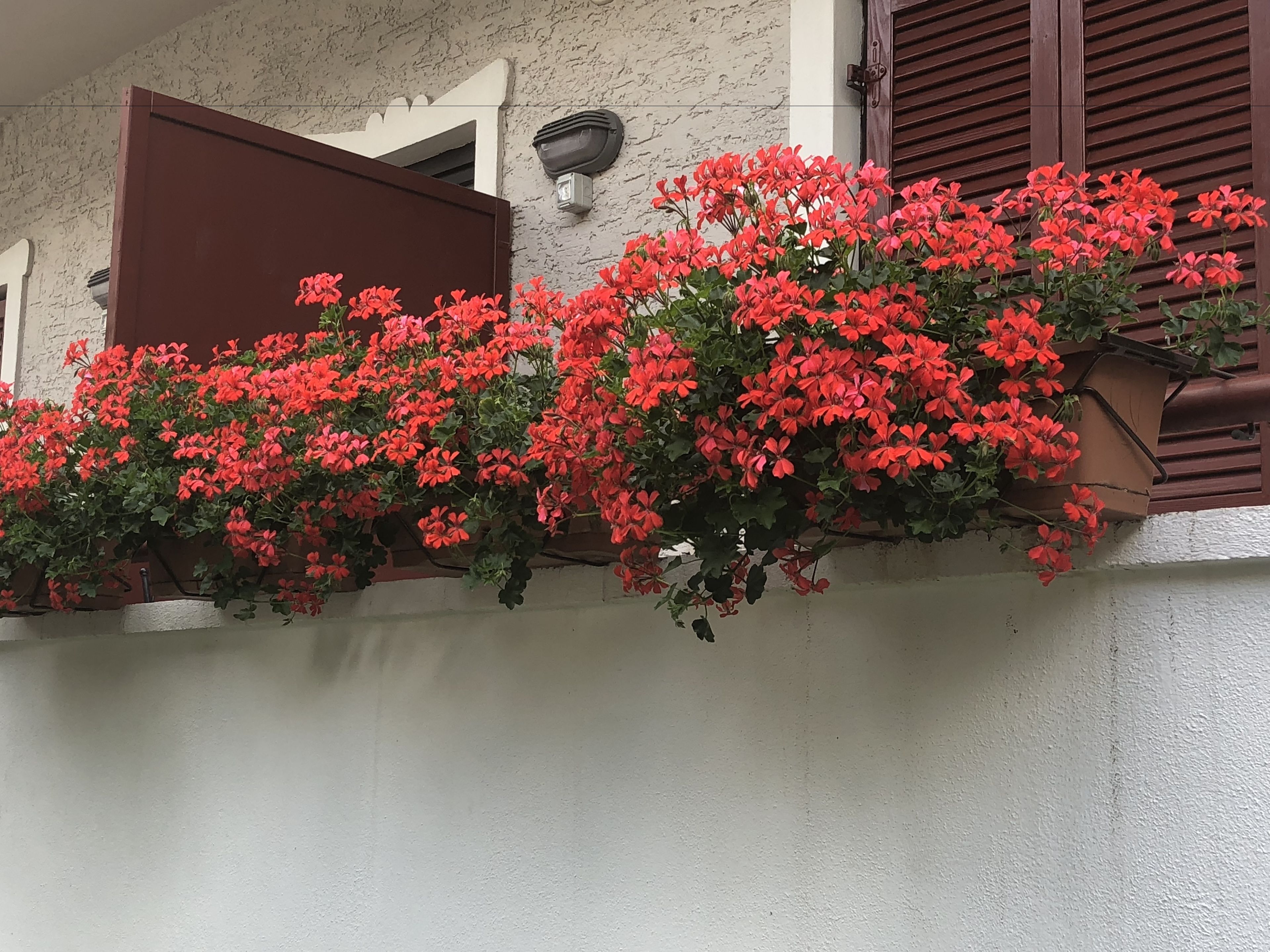 Photo - Garni Villa Betty
