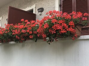 Balcony - Garnì Villa Betty (Merano)