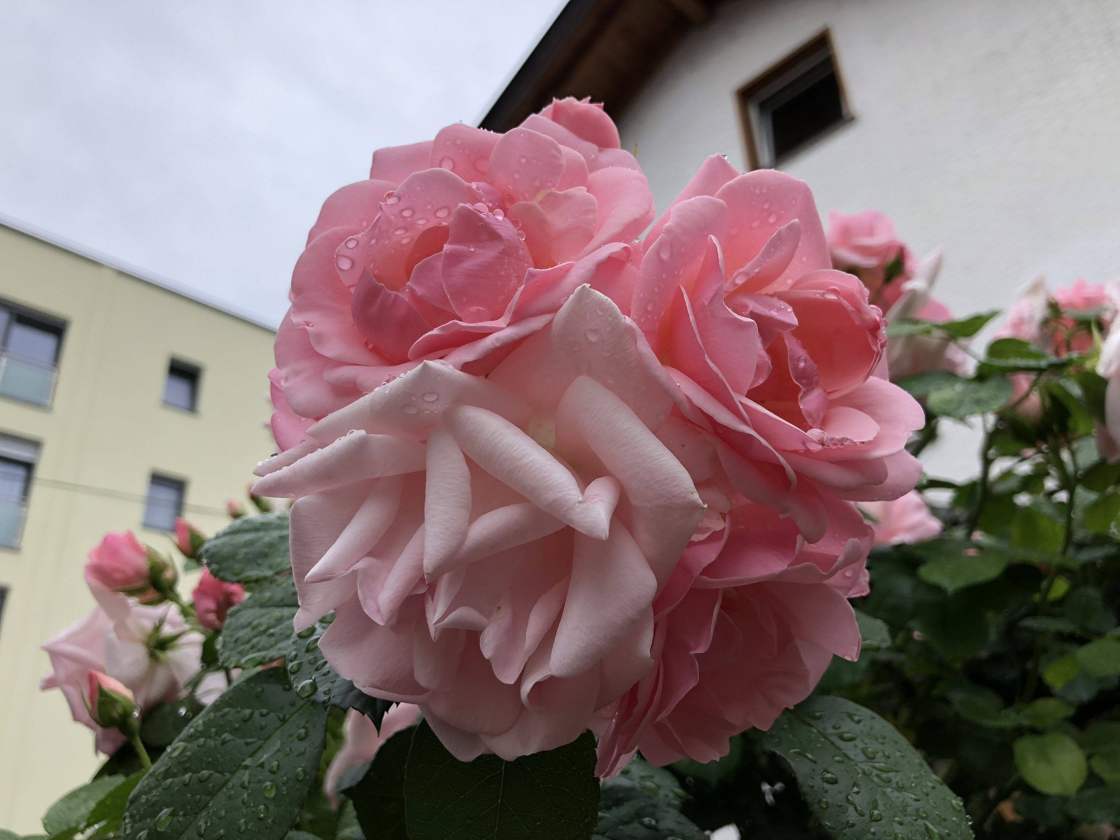 Photo - Garni Villa Betty