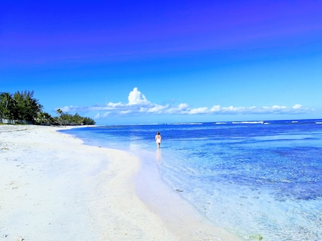 Beach nearby, snorkelling, beach volleyball, 5 beach bars