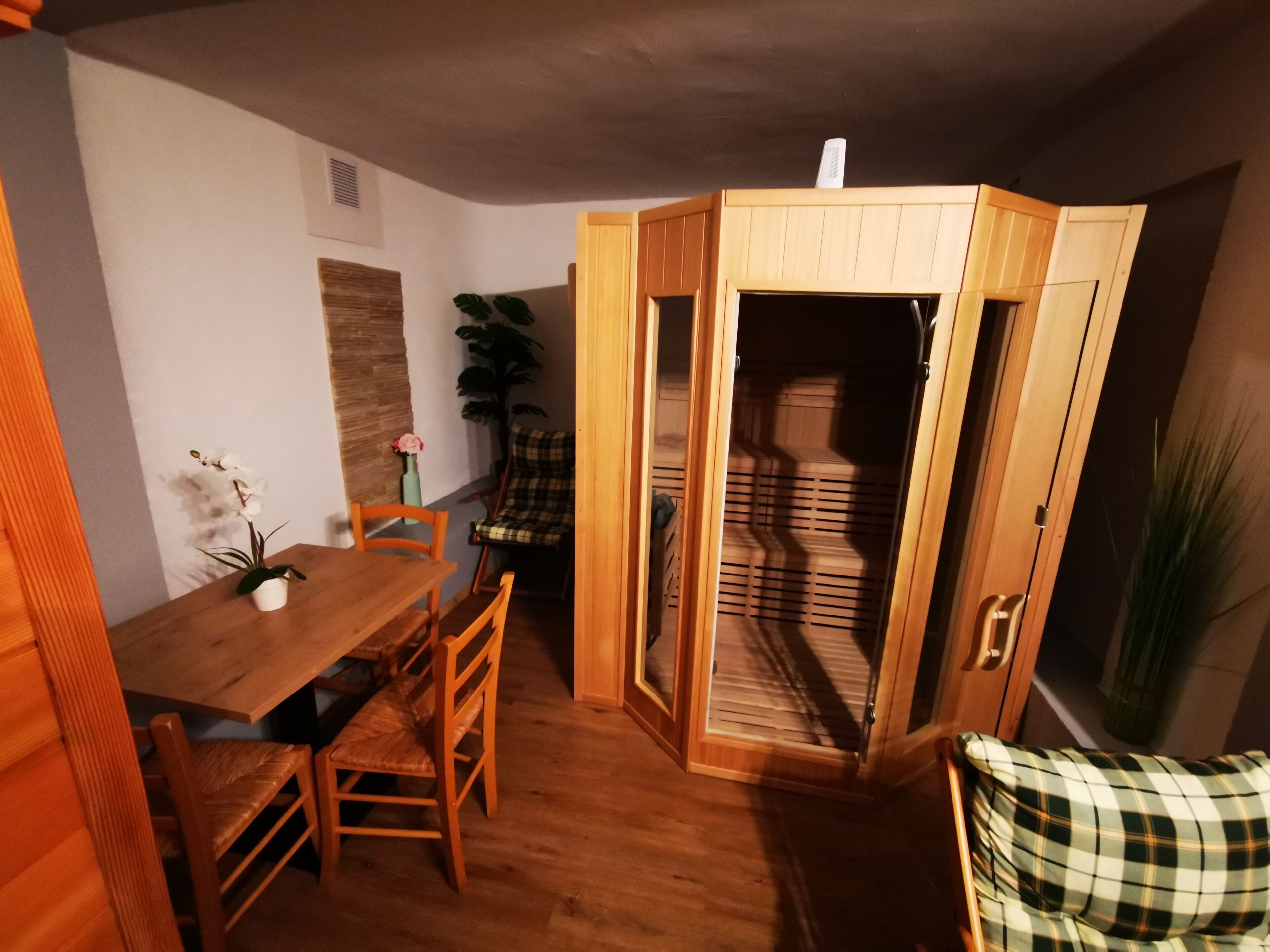A compact room with a wooden dining table and chairs, a small potted plant, and a plaid chair.