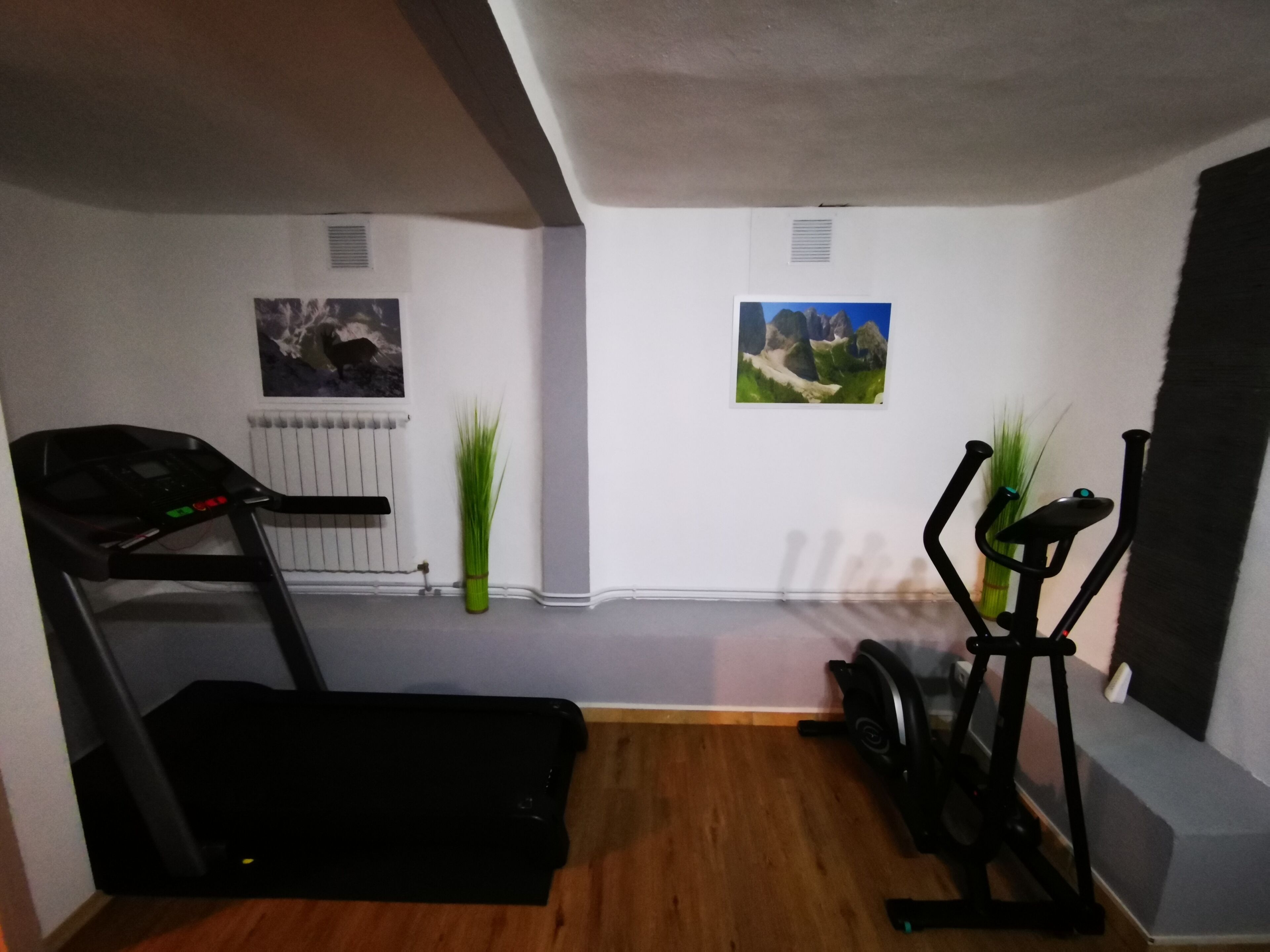 Gimnasio