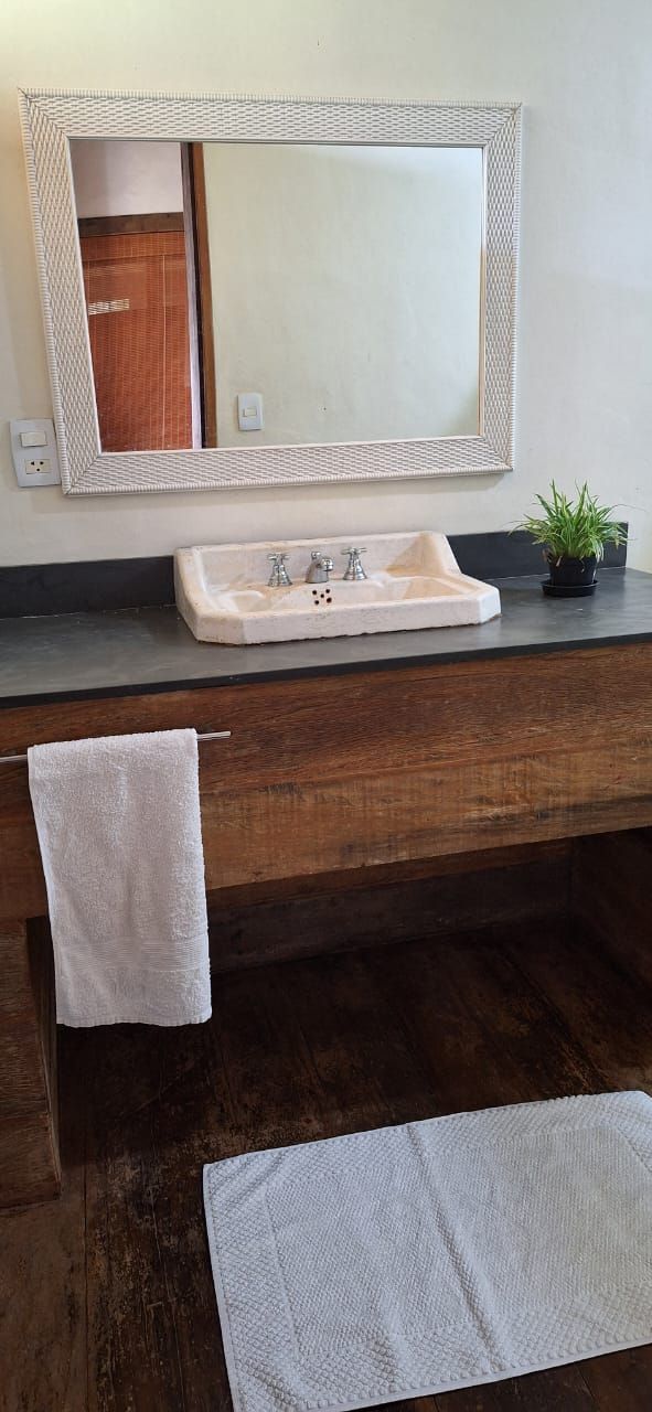 A bathroom with a large mirror, a sink, a towel rack, and a small potted plant.