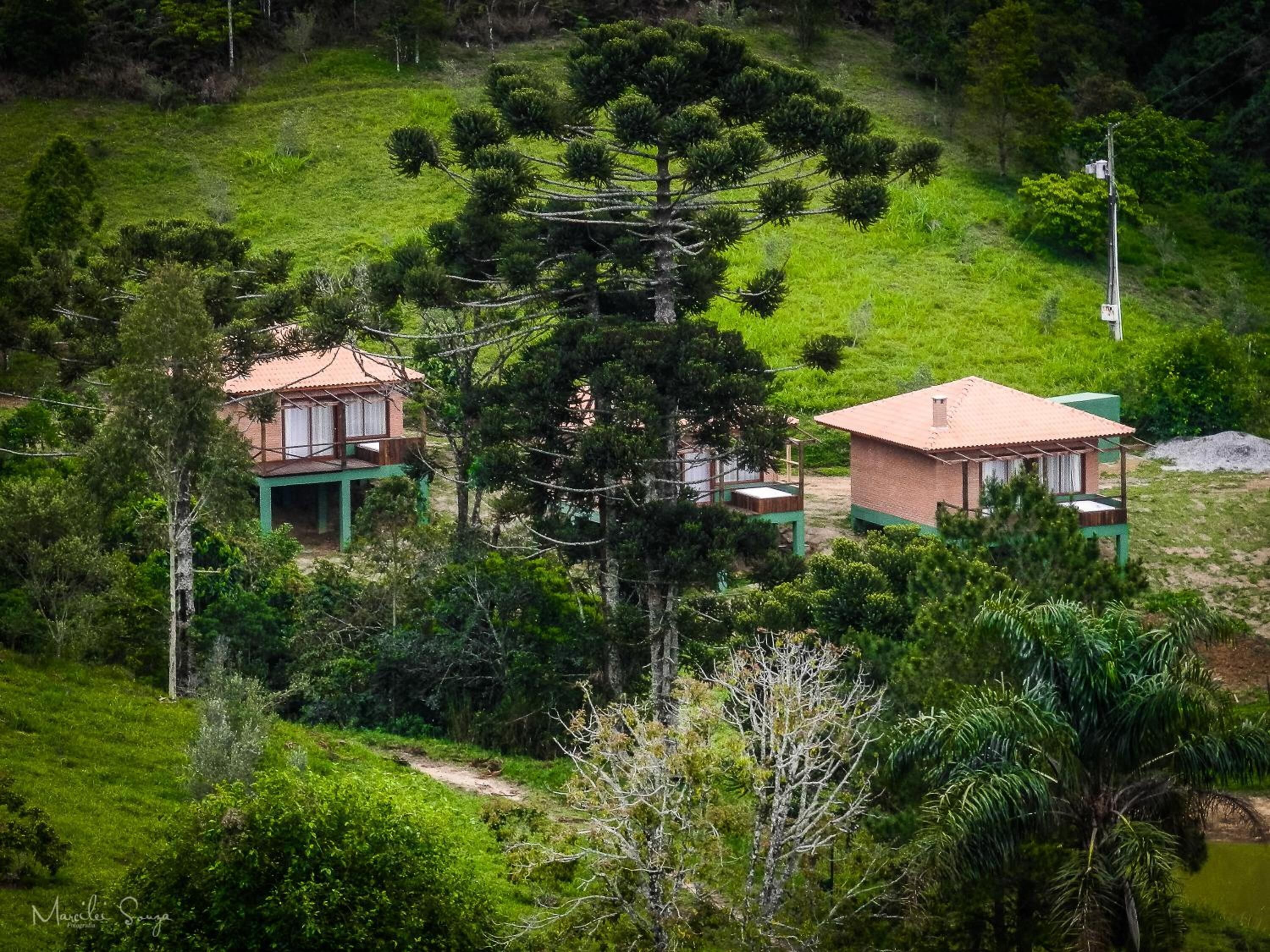 Two small, detached houses surrounded by dense greenery, with a clear path between them.