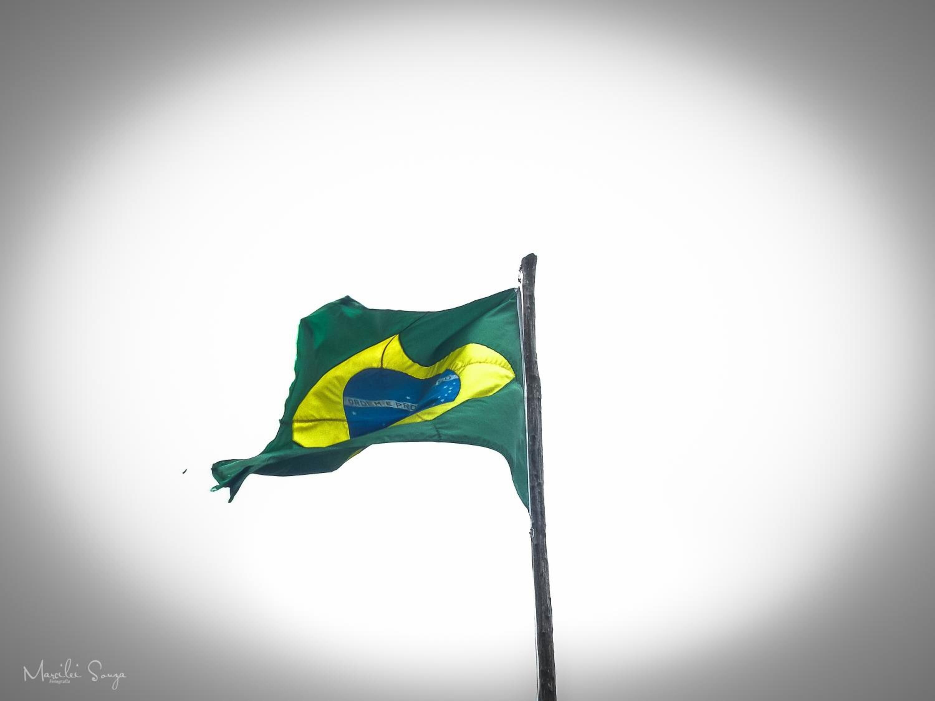 Una bandera en un asta.