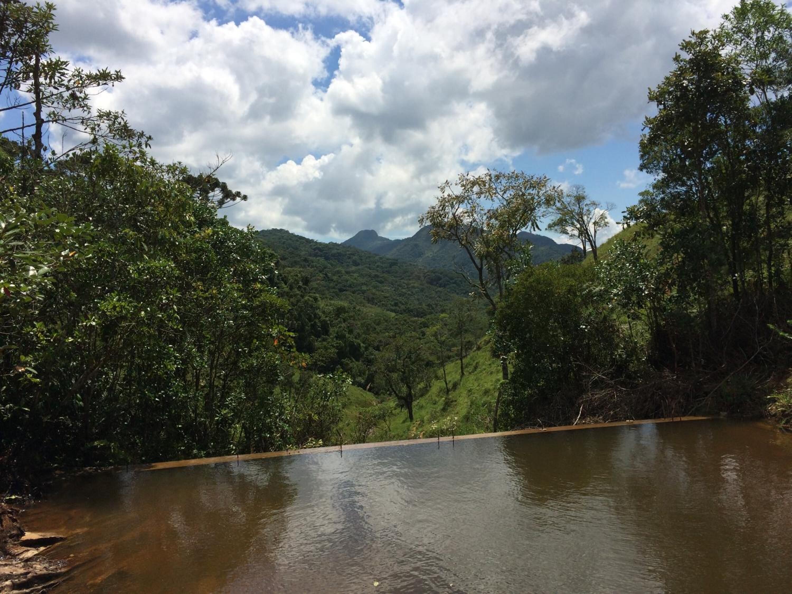 Un río rodeado de exuberante vegetación y montañas al fondo.