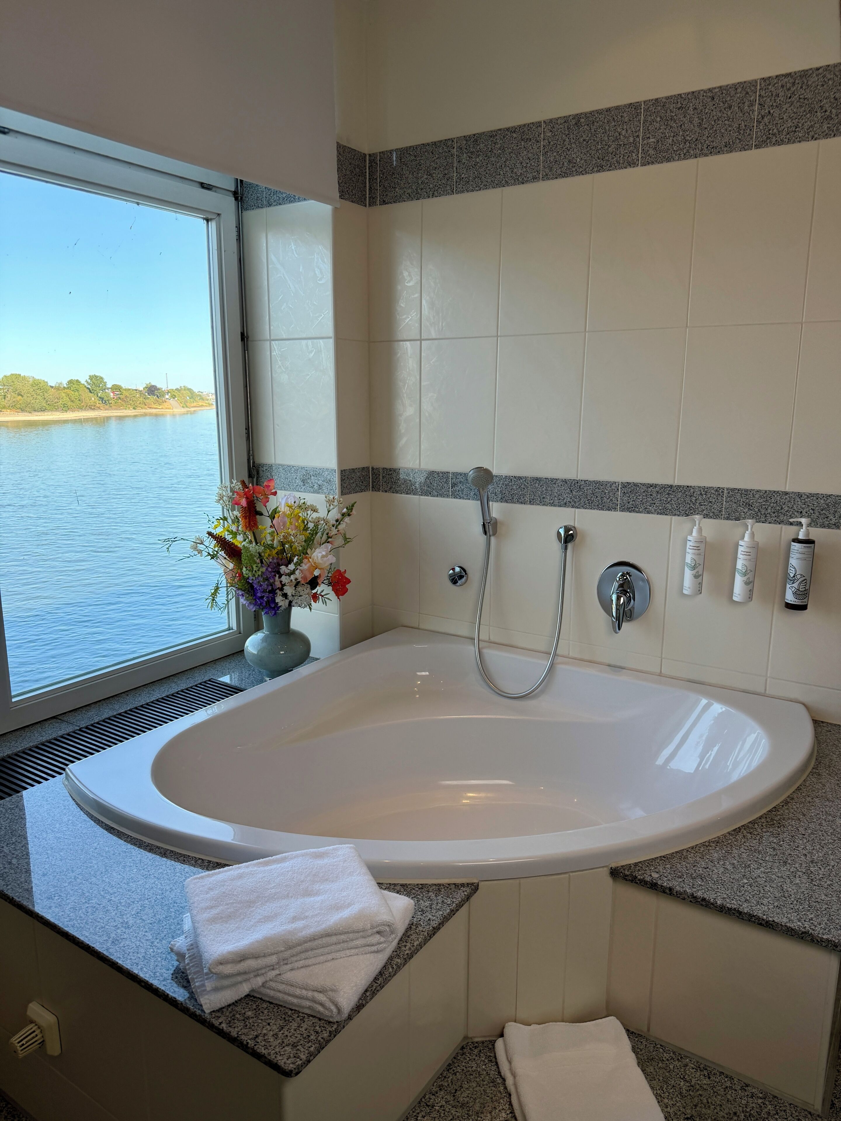 Suite Deluxe, 1 grand lit, non-fumeurs, vue fleuve | Salle de bain | Douche, articles de toilette gratuits, sèche-cheveux